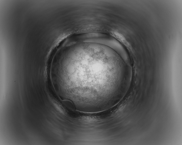 X0000087310250200704201215
