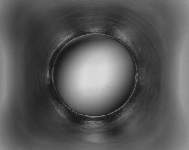 X0000087310251200704201215