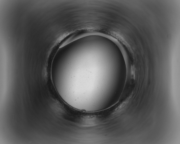 X0000087310252200704201215