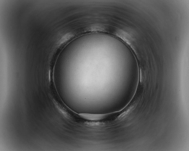 X0000087310253200704201215