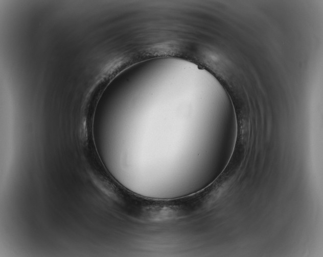X0000087310254200704201215