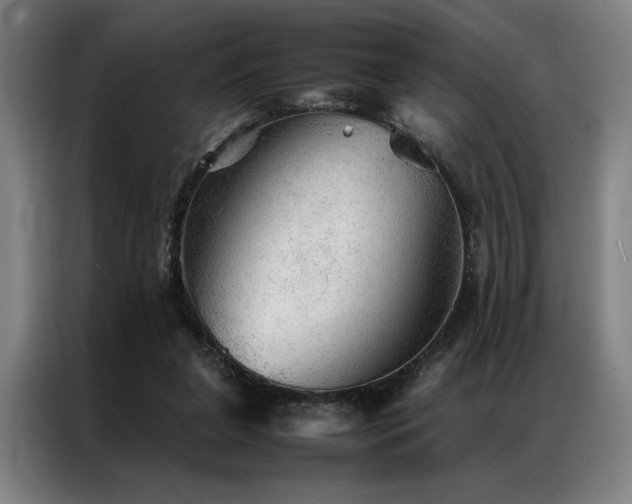 X0000087310255200704201215