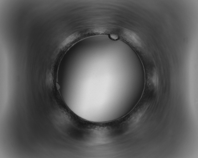 X0000087310256200704201215
