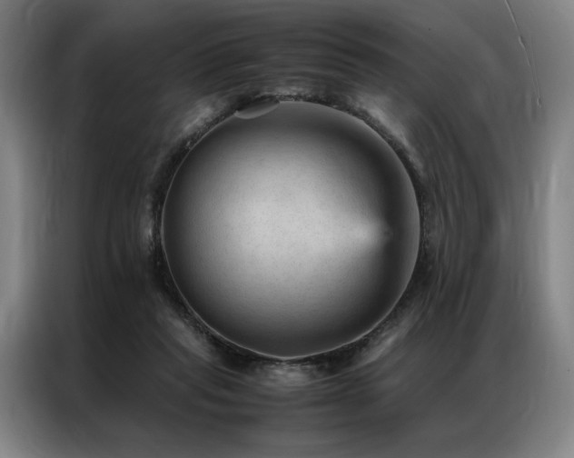 X0000087310261200704201215