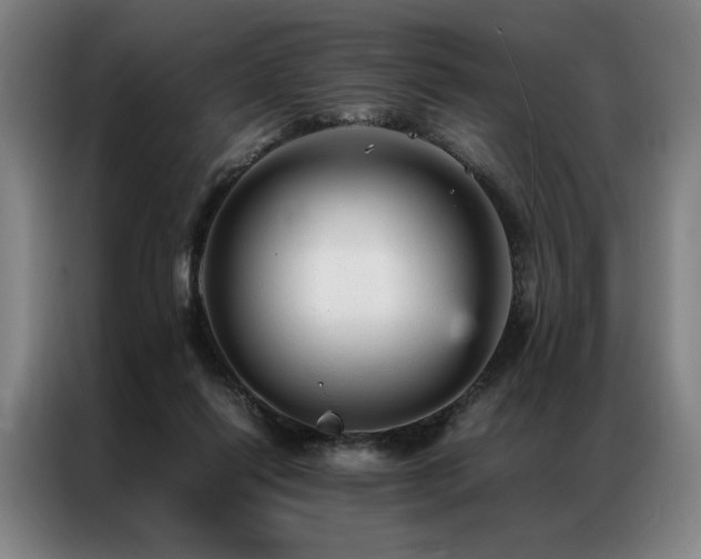 X0000087310262200704201215