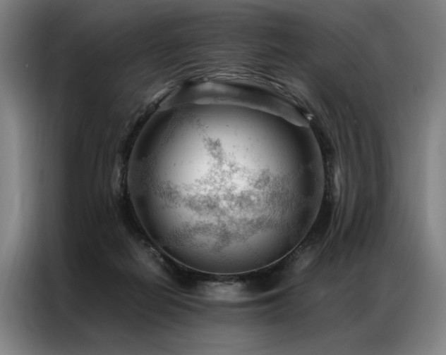 X0000087310266200704201215