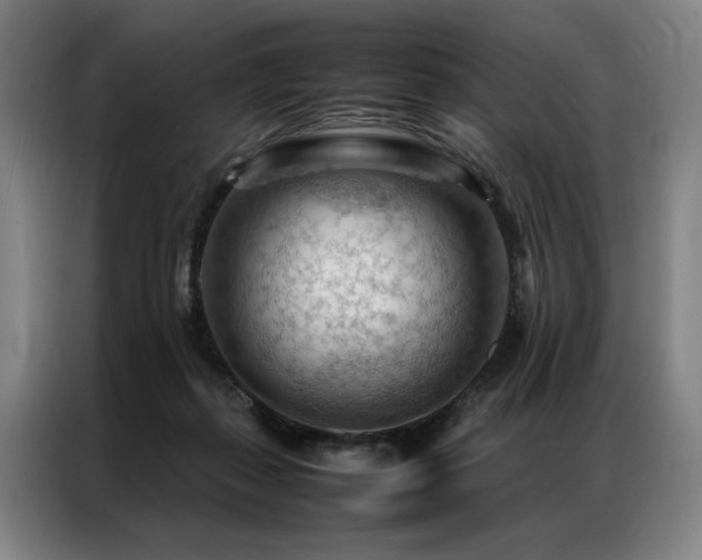 X0000087310267200704201215
