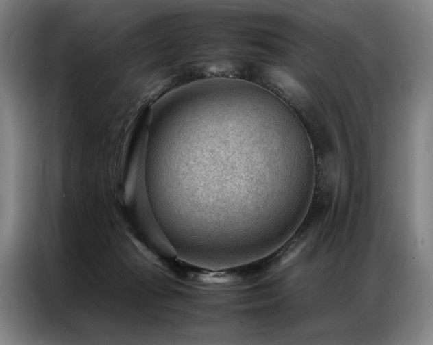 X0000087310269200704201215