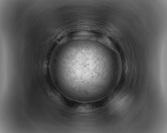 X0000087310271200704201215