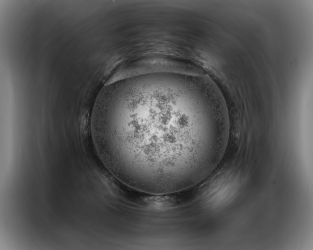 X0000087310273200704201215