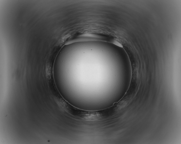 X0000087310274200704201215