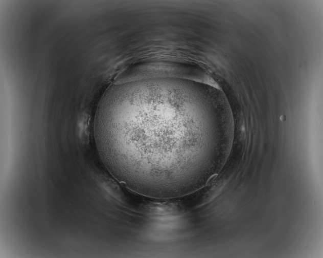 X0000087310275200704201215