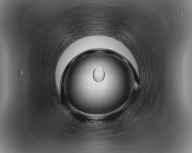 X0000087310276200704201215