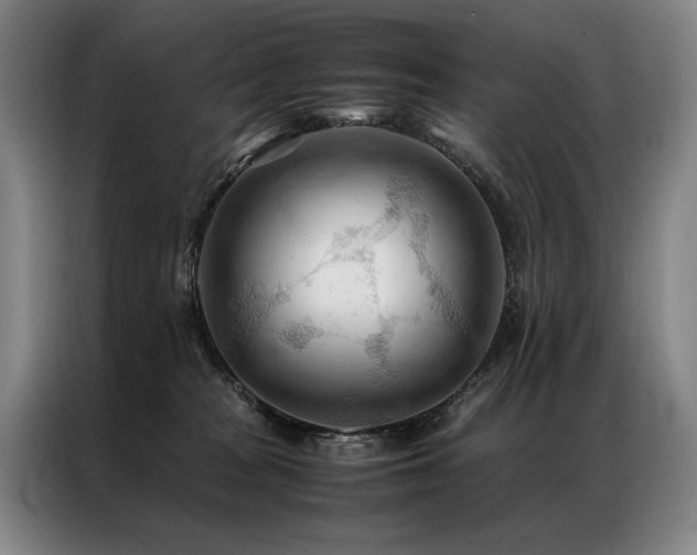 X0000087310277200704201215