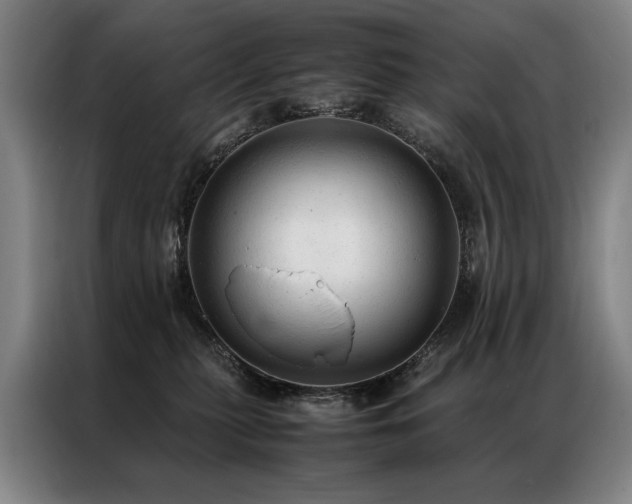 X0000087310279200704201215