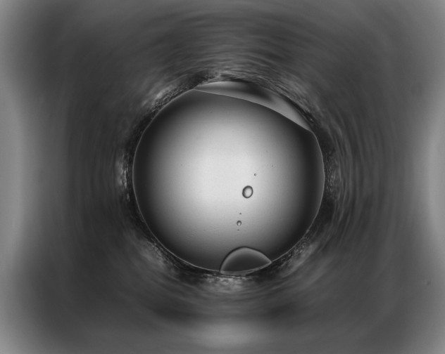 X0000087310282200704201215