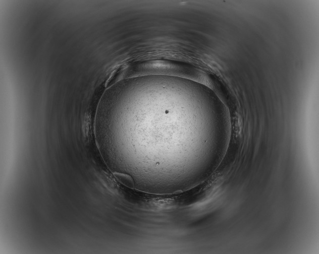 X0000087310283200704201215