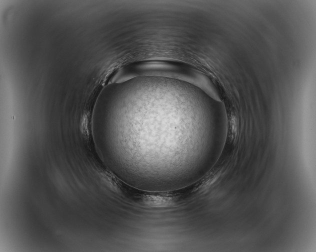 X0000087310286200704201215