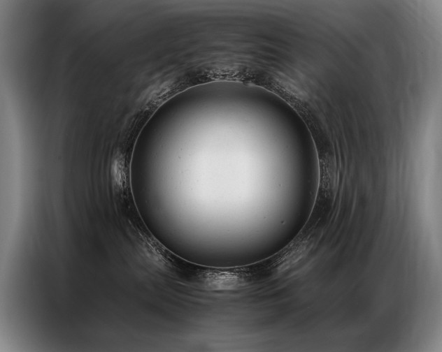 X0000087310287200704201215
