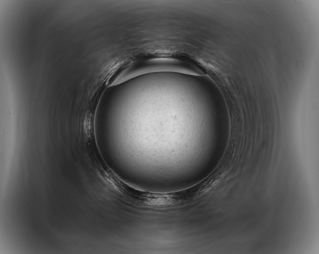 X0000087310288200704201215