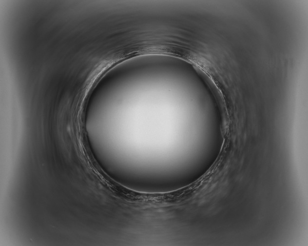X0000087310289200704201215
