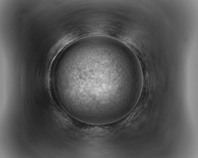 X0000087310290200704201215