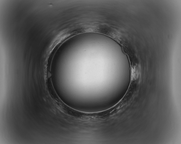 X0000087310291200704201215