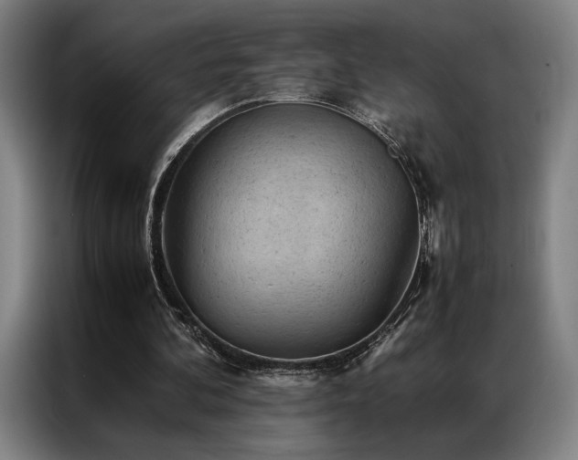 X0000087310292200704201215