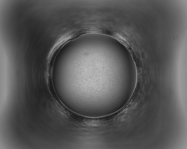 X0000087310293200704201215