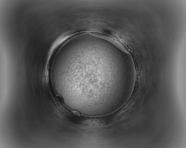 X0000087310294200704201215