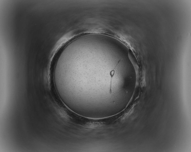 X0000087310296200704201215