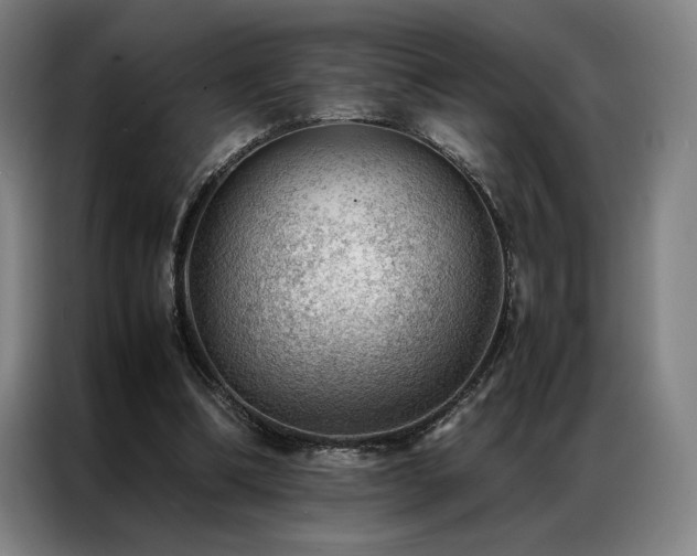 X0000087310298200704201215