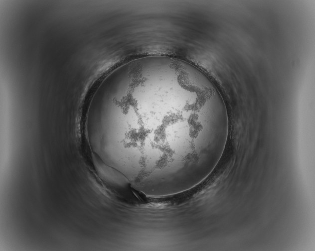 X0000087310299200704201215