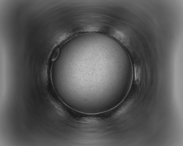 X0000087310300200704201215