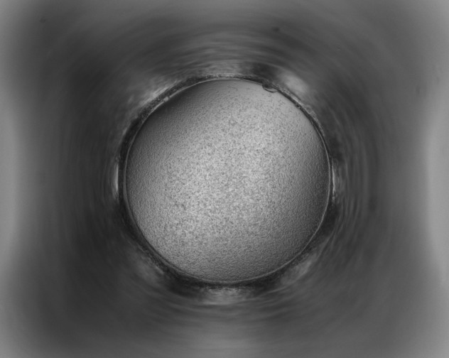 X0000087310301200704201215