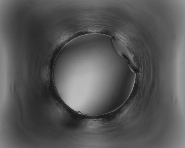 X0000087310303200704201215