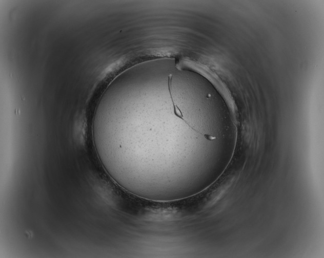 X0000087310304200704201215