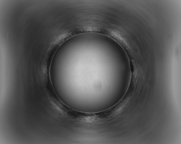 X0000087310306200704201215