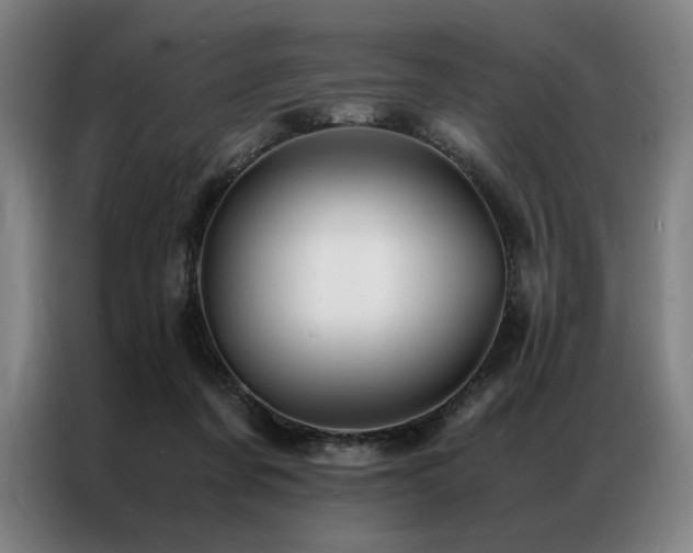 X0000087310311200704201215