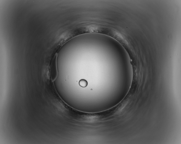 X0000087310313200704201215