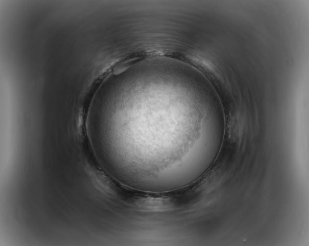 X0000087310314200704201215