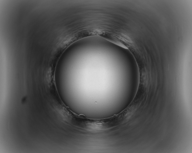 X0000087310318200704201215