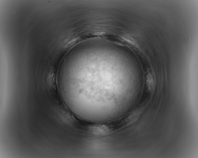 X0000087310322200704201215