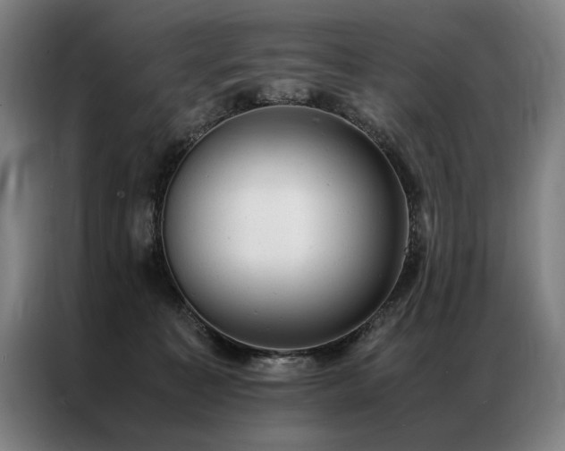 X0000087310323200704201215