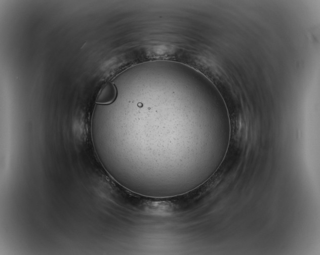 X0000087310324200704201215