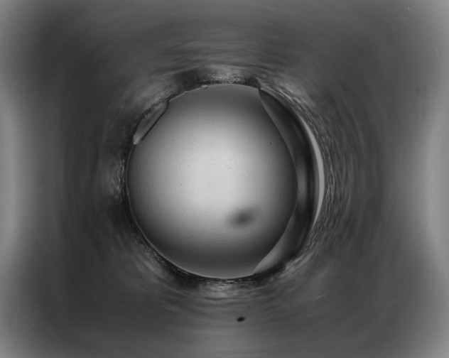 X0000087310325200704201215