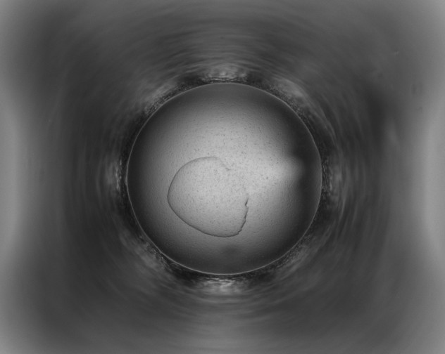 X0000087310326200704201215