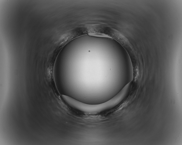 X0000087310329200704201214