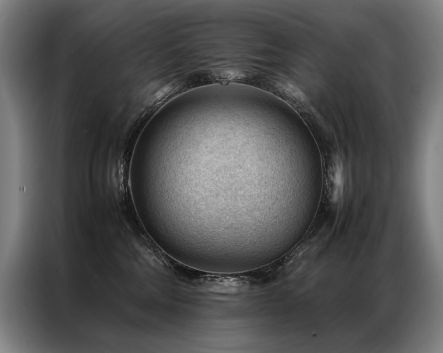X0000087310330200704201214