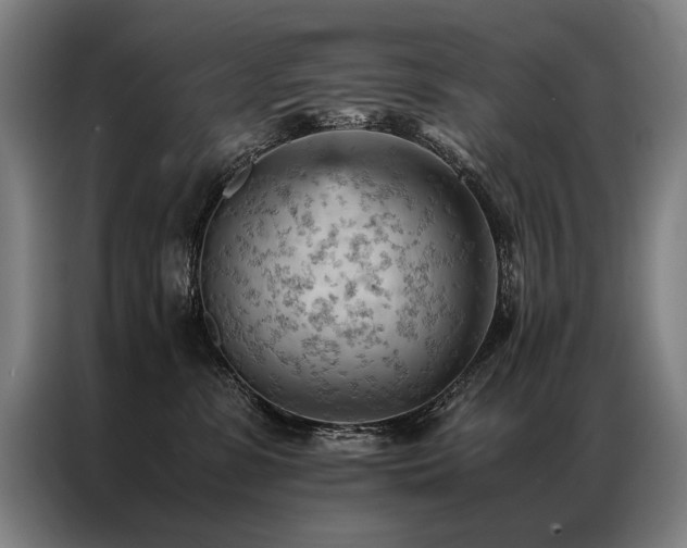 X0000087310331200704201214